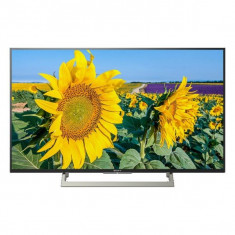 Smart TV Sony KD49XF8096 49&amp;amp;quot; Ultra HD 4K WIFI HDR Negru foto