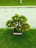 Copăcel decorativ artificial 25 cm cu flori galbene
