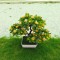Copăcel decorativ artificial 25 cm cu flori galbene