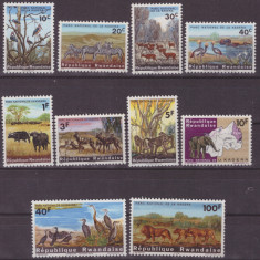 107-RUANDA-Pasari si animale-Serie completa de 10 timbre nestampilate,MNH