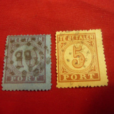 2Timbre 5C si 10C 1876 Cifra Olanda ,stampilat