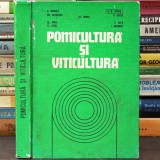 POMICULTURĂ și VITICULTURĂ - A. Negrilă, Gh. Predescu, Șt. Oprea - Manual / Curs, Facultatea de Horticultură