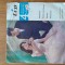 DISC vinil -Langsame Walzer - charmaine ,parlez moi d amour,Ramona,Fascination