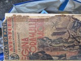 Regina orașului mort vintage