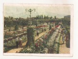 FA75-Carte Postala- KAZAHSTAN - Alma-Ata, Square of flowers, circulata 1957