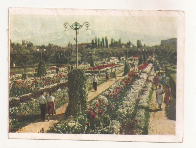 FA75-Carte Postala- KAZAHSTAN - Alma-Ata, Square of flowers, circulata 1957 foto