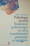 Carte Psihologia Trezirii. Budism, Psihoterapie, Dezvoltare Personala - John Welwood, 2006, Brosata, Romana