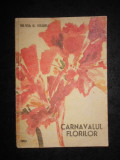 Silvia C. Negru - Carnavalul florilor