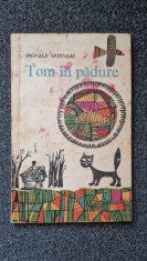 TOM IN PADURE - Ingvald Svinsaas foto