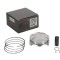 Piston Vertex Honda CRF 450 02- 03