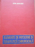 Elemente De Patologie Terapeutica Chirurgicala - Petru Radulescu ,280701, Didactica Si Pedagogica