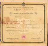 A2683N Certificat absolvire liceu IC Brătianu Pitești 1910 maior Stamatiu