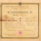 A2683N Certificat absolvire Liceul I C Brătianu din Pitești, 1910, a viitorului maior Ioan Stamatiu, originar din Pitești, Regimentul Argeș nr 4