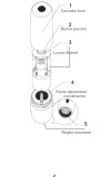 Rasnita electrica Rosu lucios pentru sare si piper MEKP001R cu camere depozitare transparente, control finetea macinarii iluminare led