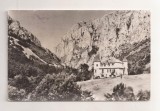 RF174 - Carte Postala - Muntii Apuseni. Cabana Cheile Turzii, circulata