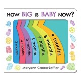 How Big Is Baby Now?