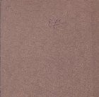 Pestera Epuran, Album (Editie 1981)