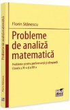 Probleme de analiza matematica - Clasele 9-10 - Florin Stanescu