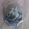 QW9 L 87 - insigna - tematica orase - Kiev - Fosta URSS