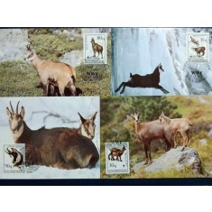 Albania 1990 - capra de munte, serie CarteMaxima