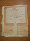 actiune - mica societate anonima romana miniera bucuresti -25000 - anul 1946