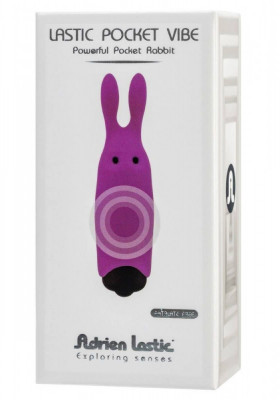 Mini Vibrator Intense Rabbit Purple, 10 Viteze foto