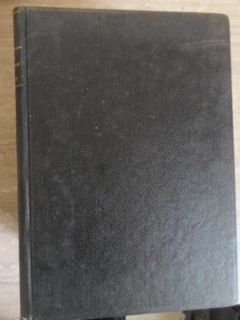 L&#039;ART RUSTIQUE EN RUSSIE-COLECTIV-235756