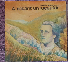 A rasarit un luceafar, Mircea Stefanescu, disc vinil foto