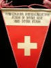 M3 C7B - Tematica militara - Elvetia