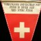 M3 C7B - Tematica militara - Elvetia