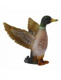 Figurina Rata salbatica - mascul, Collecta