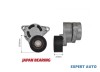 Rola intinzatoare curea alternator Opel Vivaro A (2001-&gt;)[X83] #1