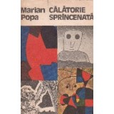 Calatorie sprancenata