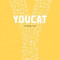 Youcat Espagnol Latinoamerica: Catecismo Joven de La Iglesia Catolica