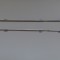 Set sine Dell Latitude E4310 (EC0AW000F00 EC0AW000800)