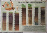 Principalele tipuri de sol din RPR// plansa pedagogica, Alte materii, Clasa 3