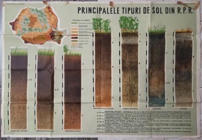 Principalele tipuri de sol din RPR// plansa pedagogica foto