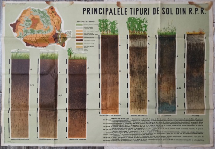 Principalele tipuri de sol din RPR// plansa pedagogica