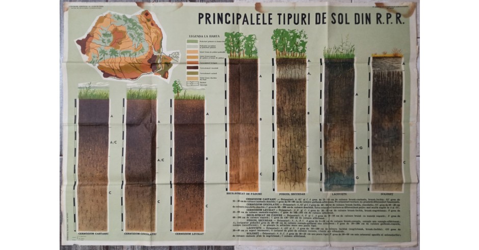 Plansă Pedagogică: Principalele Tipuri de Sol RPR (98x68cm) - Manual ...