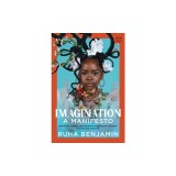 Imagination: A Manifesto