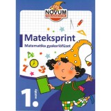 Mateksprint 1. - Matematika gyakorl&oacute;f&uuml;zet - Bozsik Roz&aacute;lia Luca