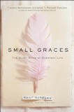 Small Graces: A Celebration of the Ordinary: Sacred Moments That Illuminate Our Lives