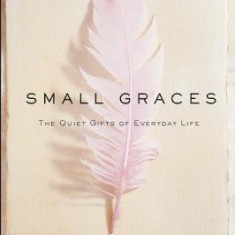 Small Graces: A Celebration of the Ordinary: Sacred Moments That Illuminate Our Lives