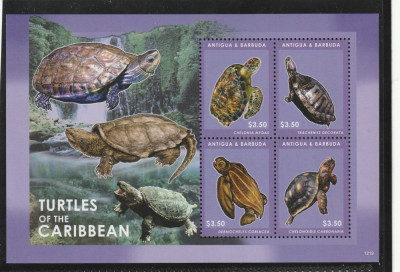Antigua si Barbuda 2012-Fauna,Testoase-Caraibe,bloc 4 val. dant.Mi.5053-5056KB foto