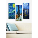 Set tablouri canvas (3 bucati) MDF0074 Multicolor 70x50 cm