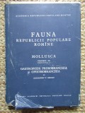 Fauna Republicii Populare Romane - Vol. III Fascicula 2 Alexandru V. Grossu - Mollusca CARTONATA