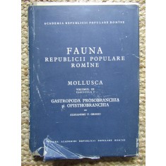 Fauna Republicii Populare Romane - Vol. III Fascicula 2 Alexandru V. Grossu - Mollusca CARTONATA