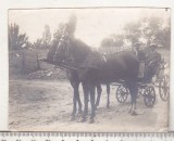 bnk foto - Barbati in faeton - interbelica