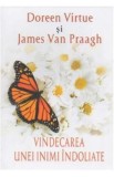 Vindecarea unei inimi indoliate - Doreen Virtue, James Van Praagh