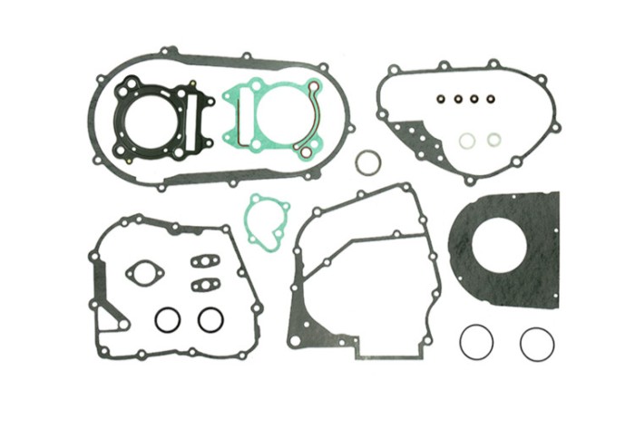 Set garnituri motor Yamaha YFM 300 Grizzly 12- 13
